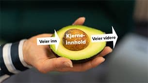 Enkle og effektive nettsider – med kjernemodellen