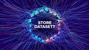 Stor verdi med store datasett